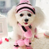 Striped Hat, Scarf and Socks Winter Pet  Accessories